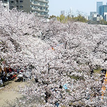 天満橋より